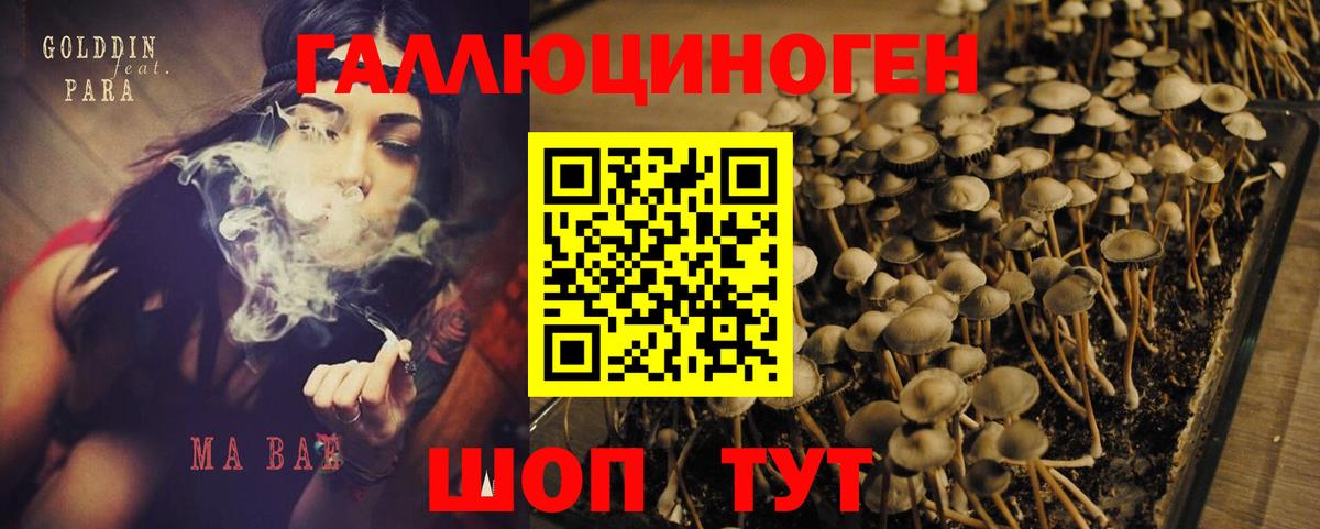 Галлюциногенные грибы Psilocybe  Вход с VPN  купить закладку  Бутурлиновка 